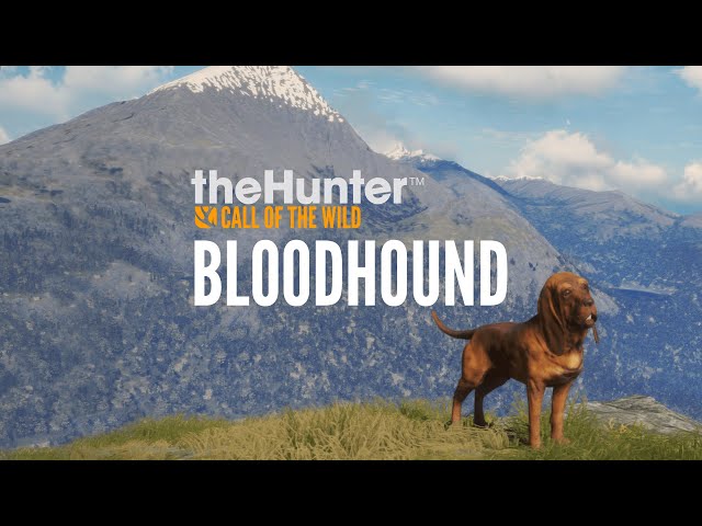 theHunter: Call of the Wild™ - Bloodhound