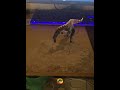 Suchomimus