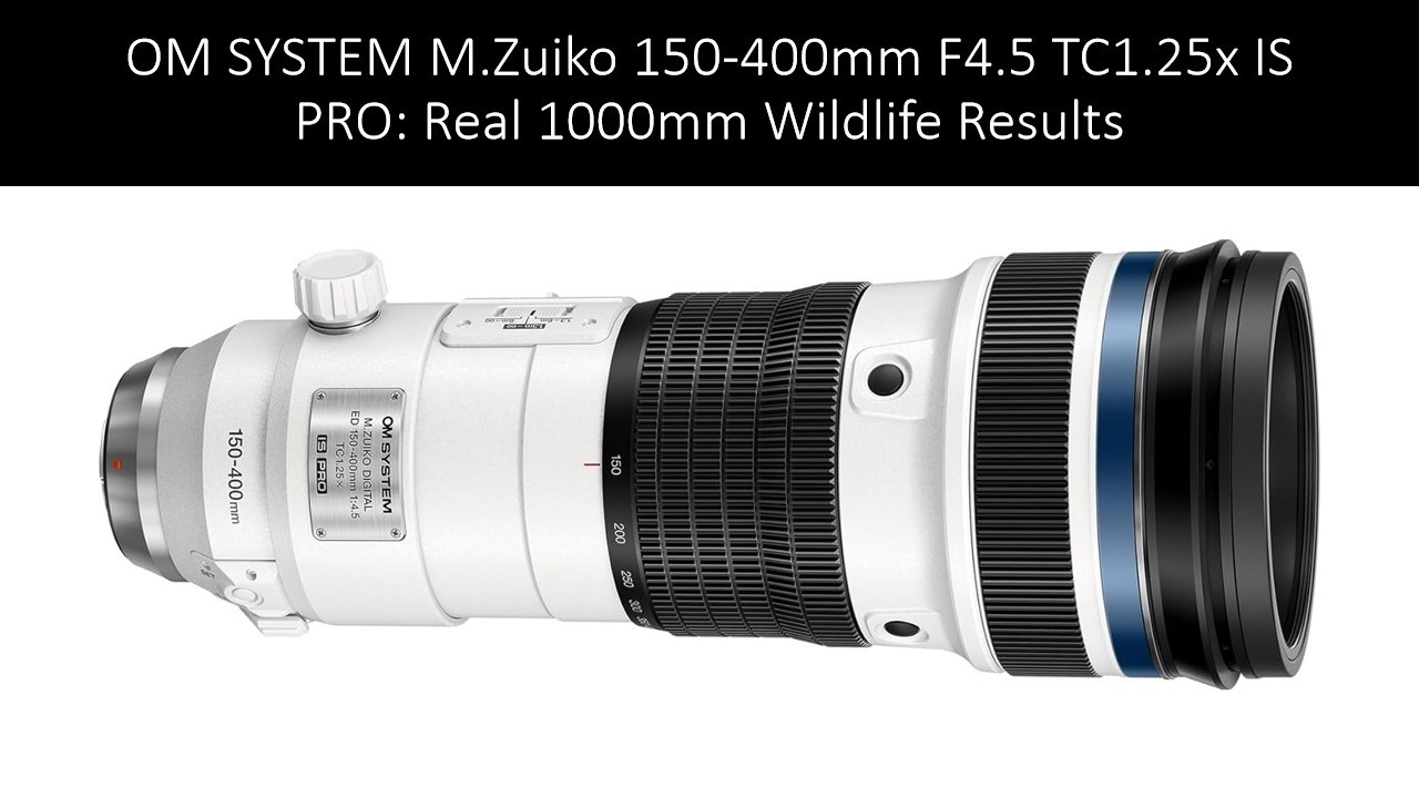 OM SYSTEM M.Zuiko 150-400mm F4.5 TC1.25x IS PRO: Real 1000mm