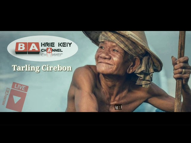 Balung Jagung Tarling Cirebon class=