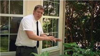 Pest Control : How to Get Rid of Stink Bugs