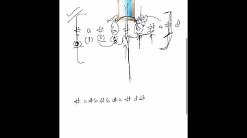 Manacher’s Algorithm