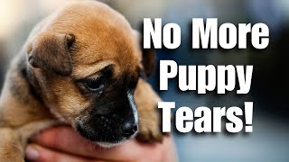 How To Stop Your Puppy From Crying
