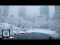 Snowfall in Central Park, New York | Walking in Central Park in the Winter Snow