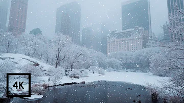 Snowfall in Central Park, New York | Walking in Central Park in the Winter Snow