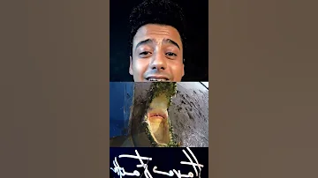 اخطر تمساح في العالم هنا في مصر 