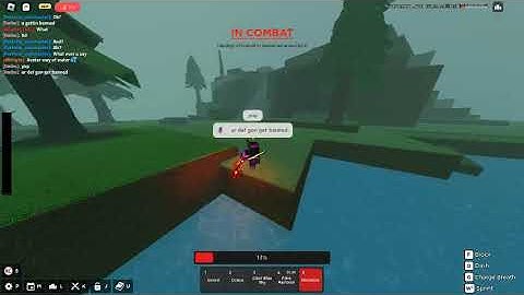 trying to fight a hacker on rogue demon (i suck)