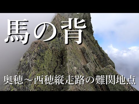 這い松の香り
