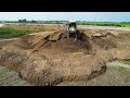 New Project, Sand Filling On Land Field Shantui Dozer Pushing Sand, Big Dump Truck Unloading Sand