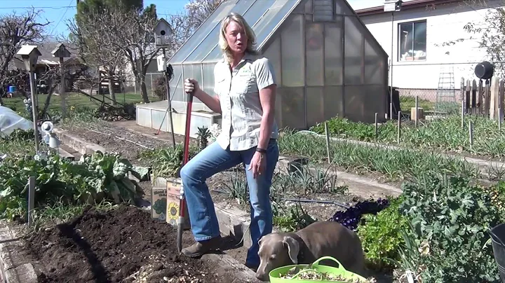 Using Fall Leaves | Amending Garden Soil in The Fall