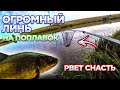 ОГРОМНЫЙ ЛИНЬ РВЁТ СНАСТЬ! Рыбалка На ПОПЛАВОК! Ловля Линя!