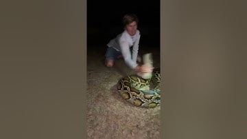 That’s a big ￼one #snake#youtubeshorts#florida#wildlife