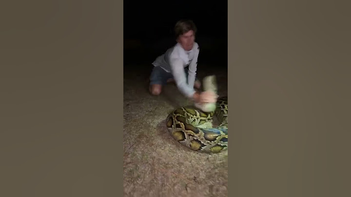 That’s a big ￼one #snake#youtubeshorts#florida#wildlife