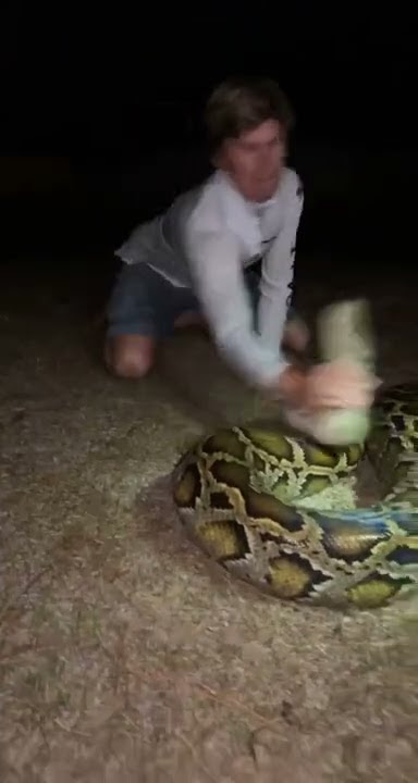 That’s a big ￼one #snake#youtubeshorts#florida#wildlife