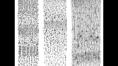 Fundamentals of Machine Learning: Generalization Performance