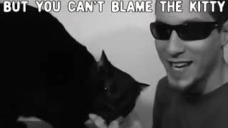 Kitty doesn't like... (reupload)