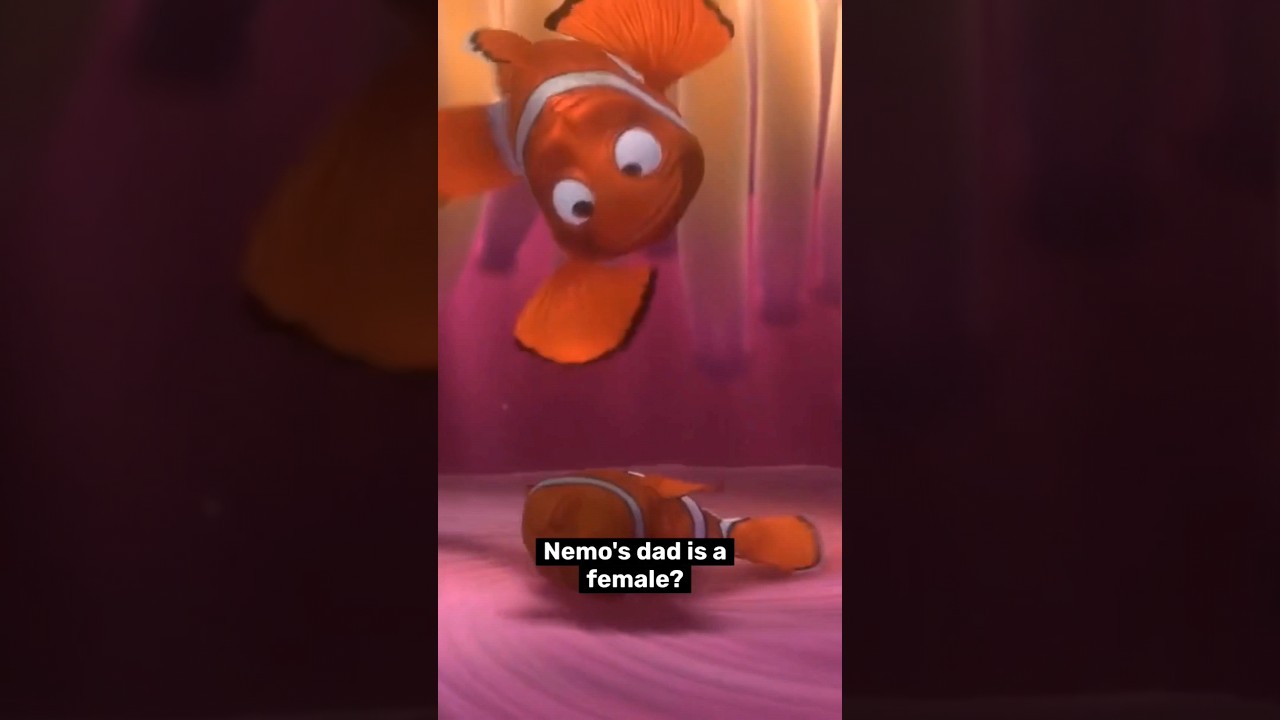 Nemo's Dad Is a Female 🤔