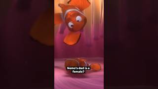 Celebrity Nemo's Dad Is a Female 🤔 Profile