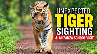 Head-On Tiger Sighting | Chota Matka Update & Alizanza School Visit in Tadoba - 4K