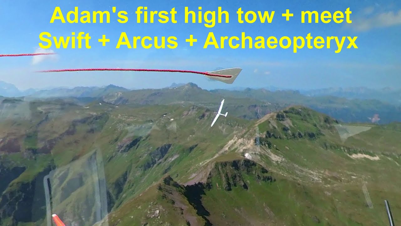 Swiss Alps Gliding: 3 encounters and a landing challenge