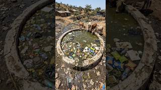 Transformation of another village side unclean dirty pond into a new clean pond for drinking water 🐄