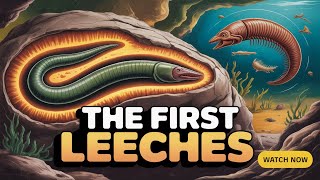 The First Leeches: Not Bloodsuckers!