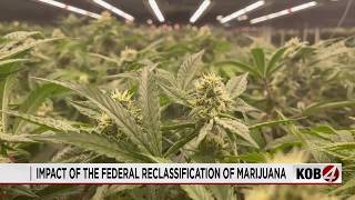 New Mexico cannabis businesses see tax break potential after federal rescheduling