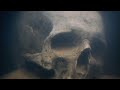Cody Simpson - Captain's Dance With Devil (Official Lyric Video)