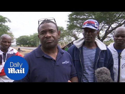 Buses collide in a head-on collision killing 47 people in Zimbabwe ...