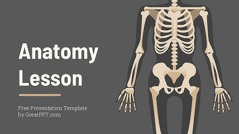 Free Anatomy Lesson PowerPoint Template & Google Slides Theme by GreatPPT
