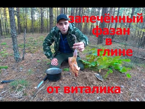 Видео: Запечённый фазан в глине. Готовка на природе. Приключения Vitalika Ignatyuka.