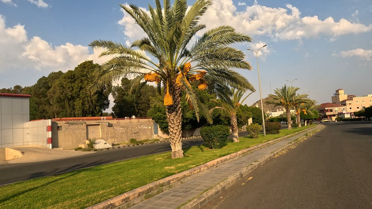 عصرية الثلاثاء 15-4-1447الطائف عروس المصائف #اكسبلور #ترند 