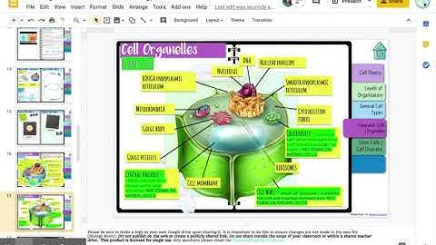 Cells Digital Interactive Notebook- Biology Roots - Google Slides