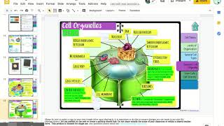 Famous Cells Digital Interactive Notebook- Biology Roots - Google Slides Net Worth