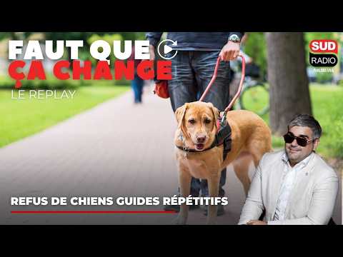 Il est refusé d'un supermarché à cause de son chien guide