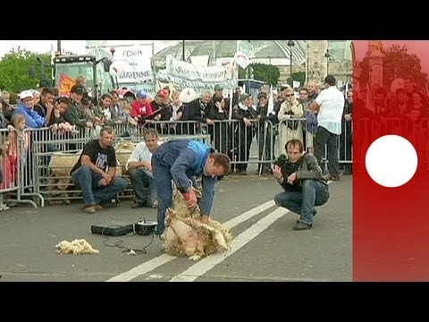 Fransız çiftçilerin yol kapatma eylemi kazaya neden oldu