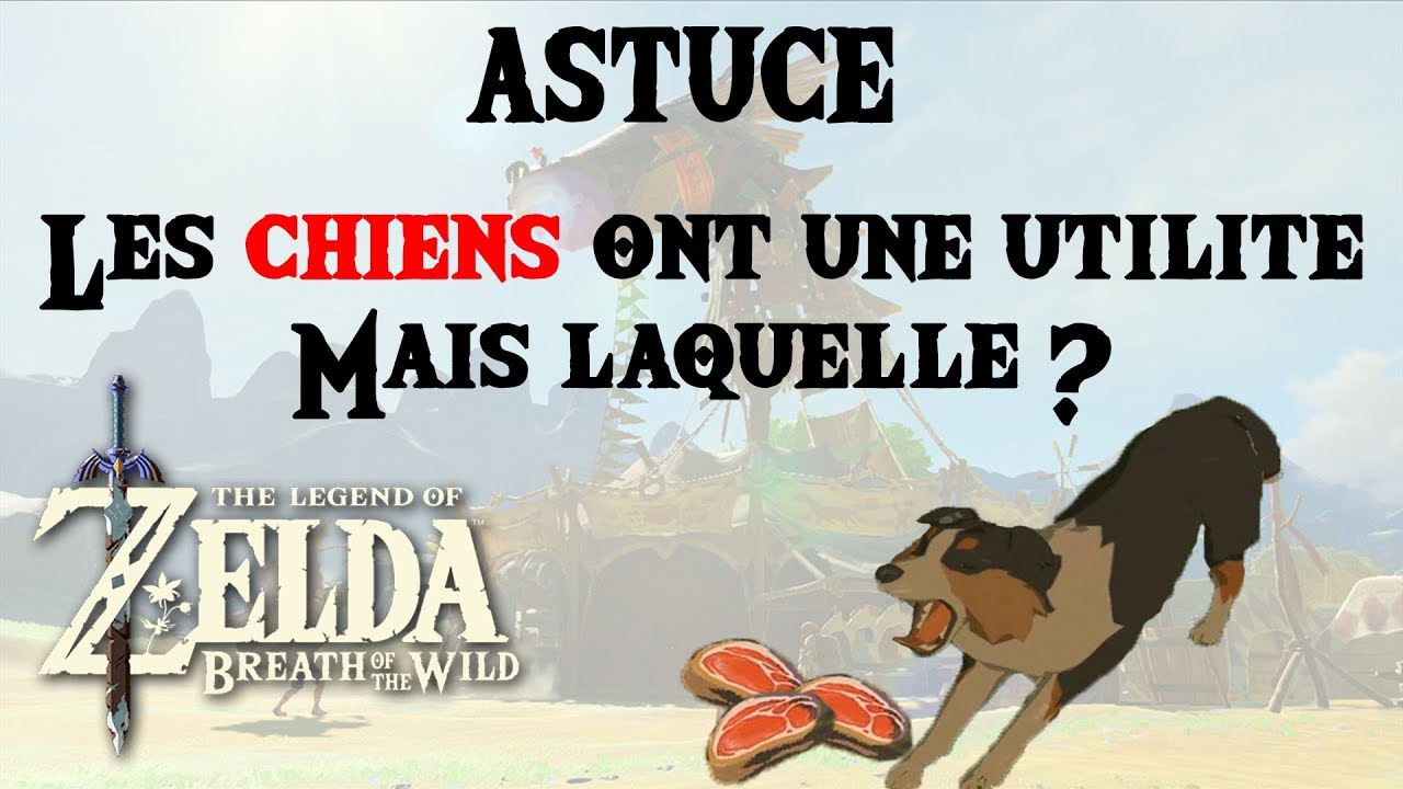 Zelda Breath Of The Wild Adopter Un Loup