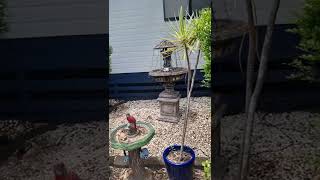 8gpm/30lpm pressure washer review. screenshot 5
