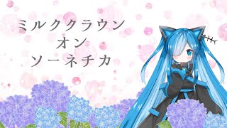 Milk Crown on Sonechka