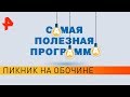 Пикник на обочине. Самая полезная программа (11.05.19).