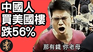 [Ray Regulus] 無子彈啦! 中國人買美國樓一年跌56%