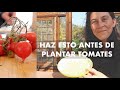 Haz esto antes de Plantar tus Tomates | Planificar para más y mejores Frutos