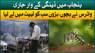 Dengue cases shockingly increased in Punjab | Aaj News