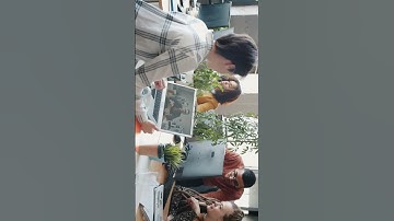 6.1 Formula field in Salesforce and How to create formula field? #salesforcetraining