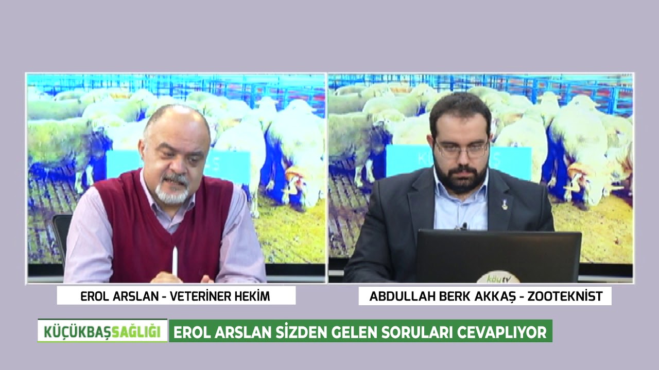 EROL ARSLAN'LA KÜÇÜKBAŞ SAĞLIĞI | SİZDEN GELEN SORULARI CEVAPLIYORUZ