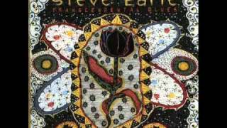 Steve Earle - Until The Day I Die