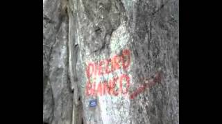 Qik - diedro bianco vallle d'aosta by Kay Rush