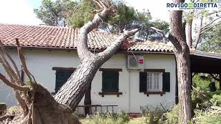 Albarella - 10 agosto 2017 il downburst che ha sconvolto l'isola. il giorno dopo ad Albarella