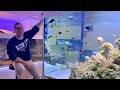 German reef tanks  hobby room xxl  3500 gallon  tour aquarium meerwasseraquarium reeftank