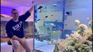 GERMAN REEF TANKS  hobby room XXL  3500 gallon  #tour #aquarium #meerwasseraquarium #reeftank